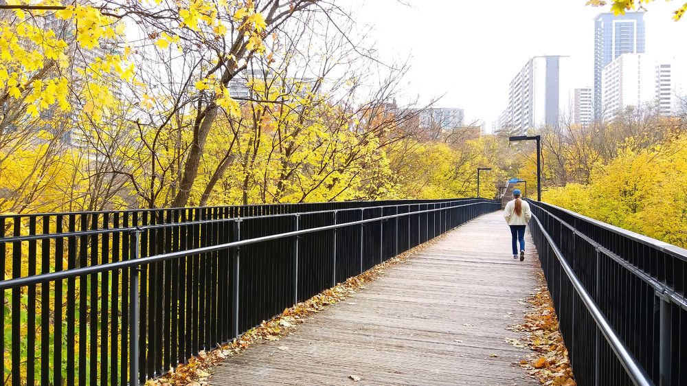 Photograph by Владимир Молостов