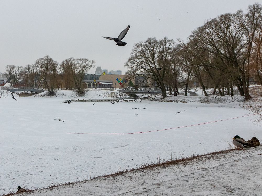 Photograph by Владимир Сурков