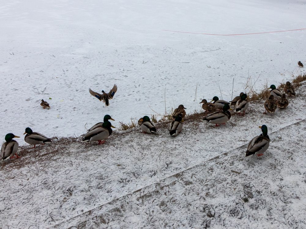 Photograph by Владимир Сурков