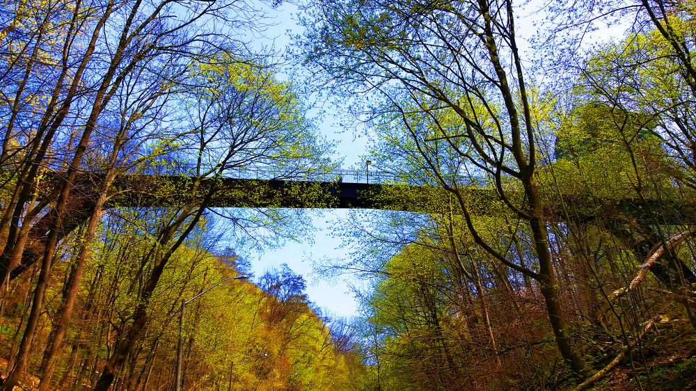 Photograph by Владимир Молостов