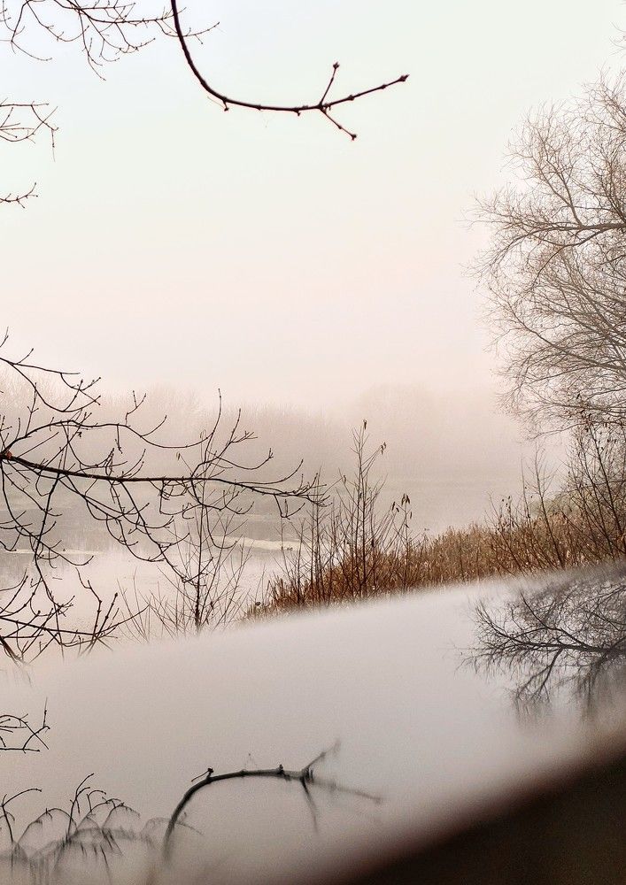 Photograph by Наталия