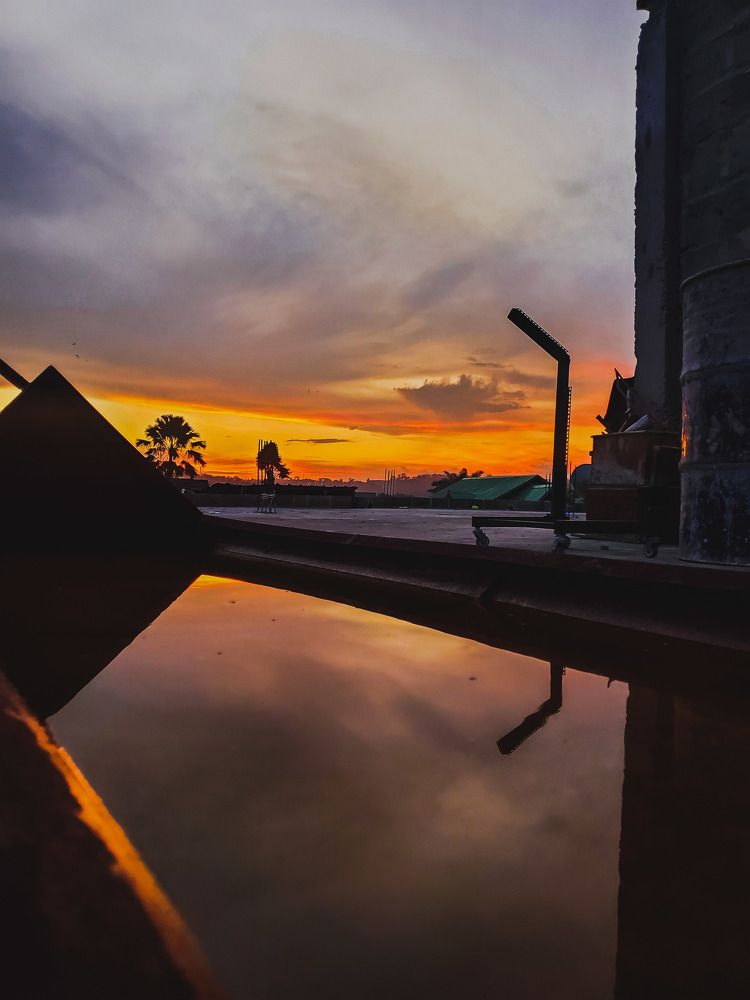 Photograph by Ketsia Samano