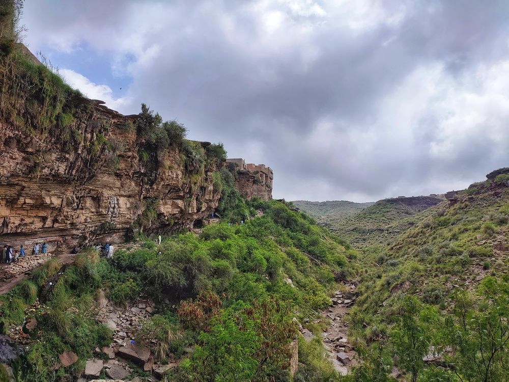 Photograph by Dr Abdullah Safeer