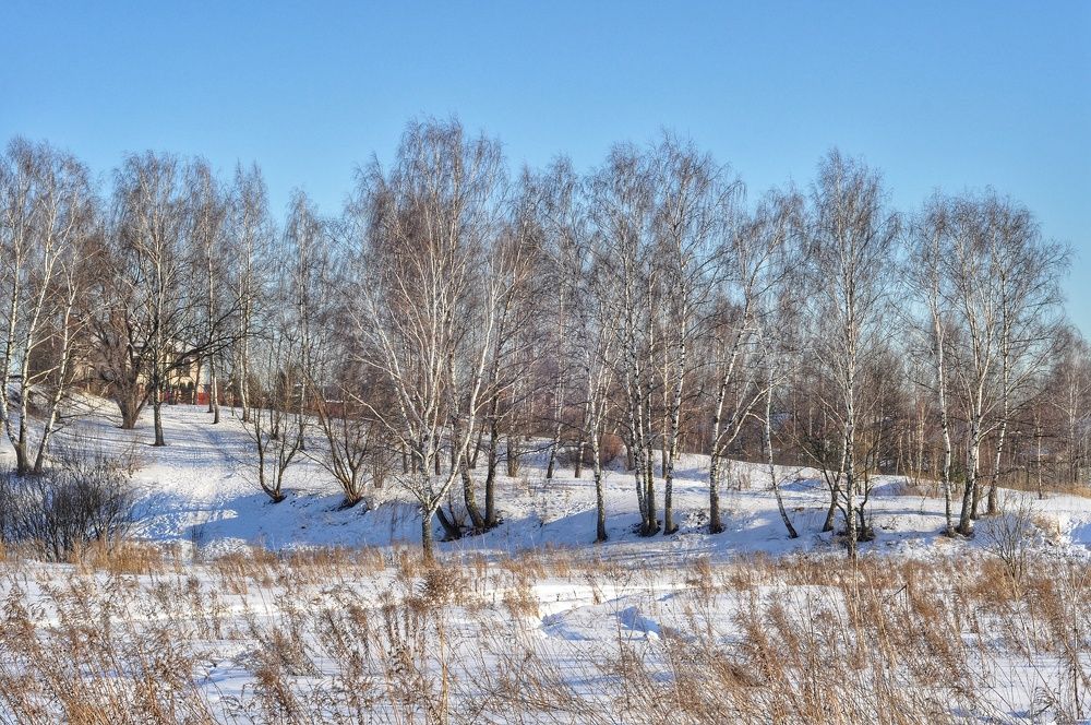 Photograph by Василий Фроленок