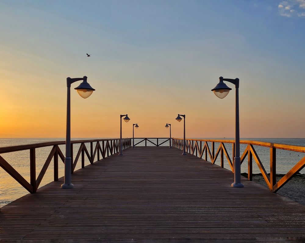 Фотография автора Юлия Ковач