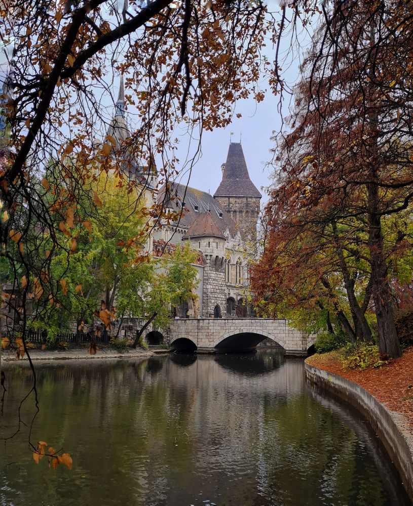 Фотография автора Юлия Ковач