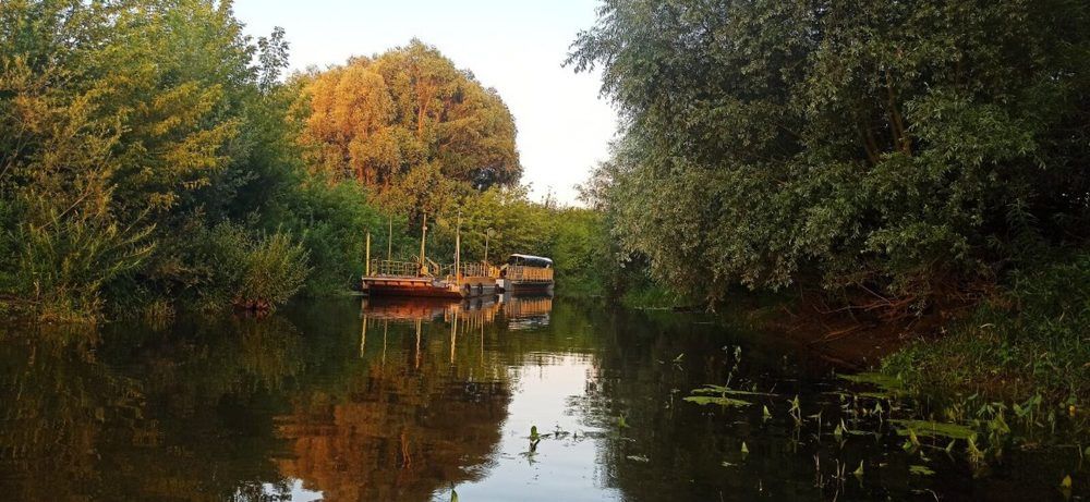 Photograph by Ольга