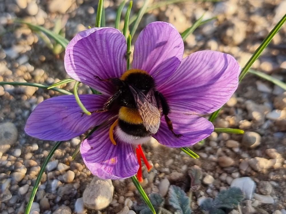 Photograph by Azar Jafarov