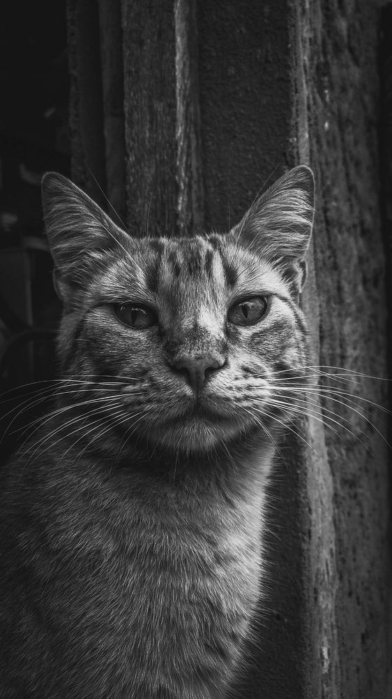 Photograph by Fabricio Bento