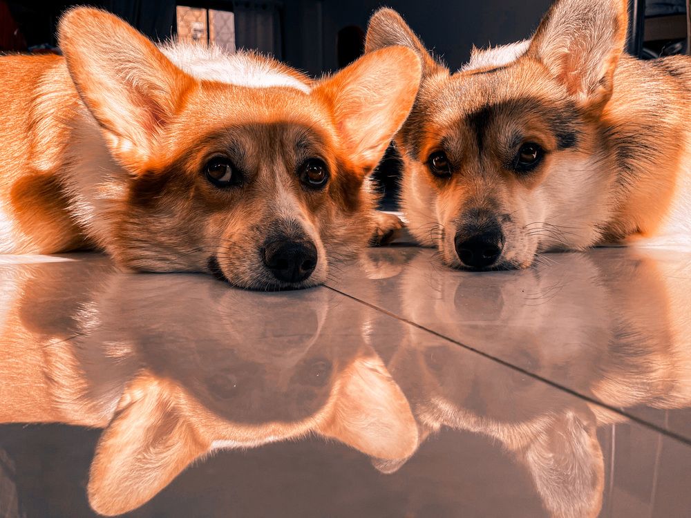 Photograph by Кристина Мискарова