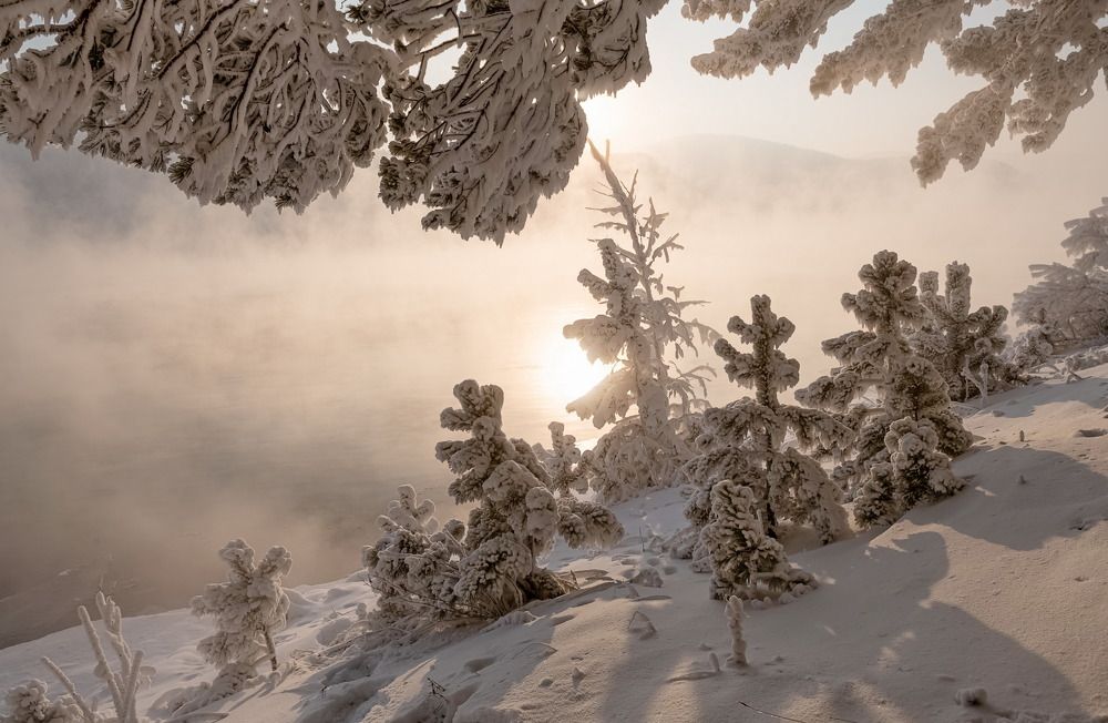 Photograph by Марина Фомина