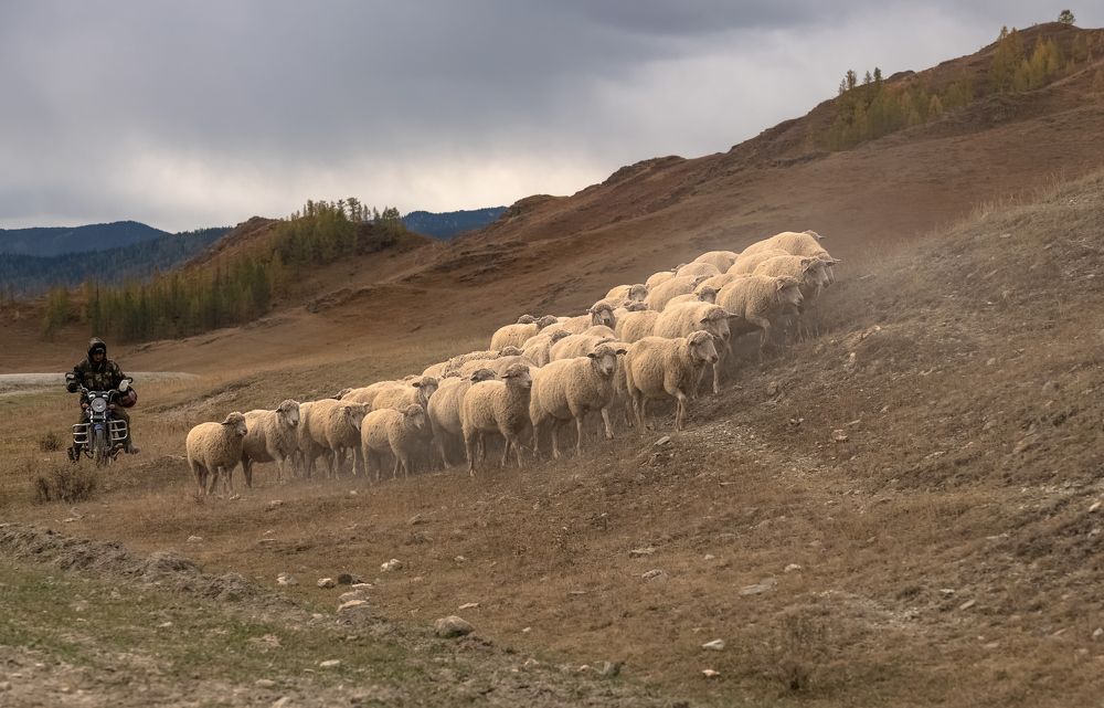 Photograph by Марина Фомина