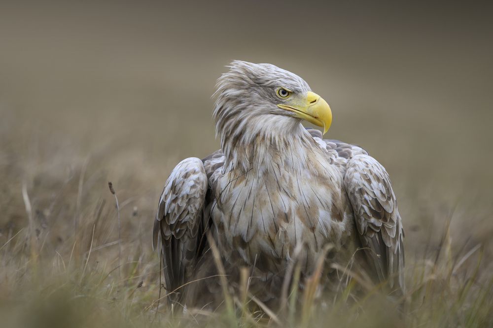 Photograph by Ernestas Balcikonis