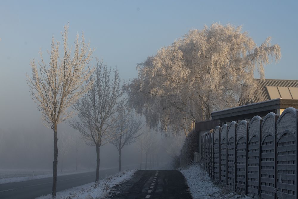 Photograph by Ernestas Balcikonis