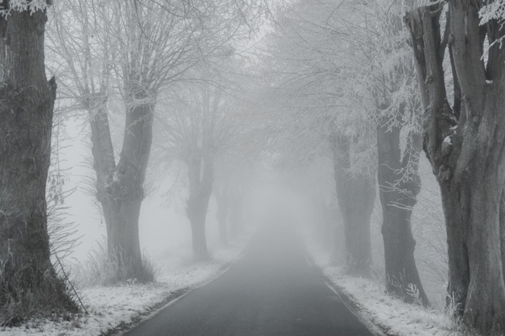 Photograph by Ernestas Balcikonis