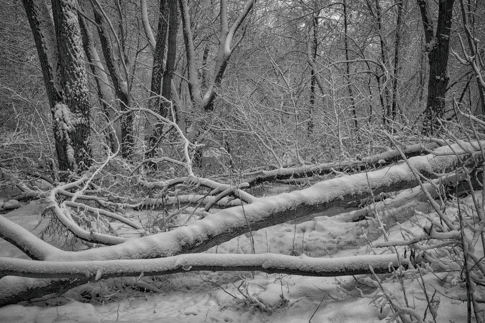 Photograph by Sergey Paramonov