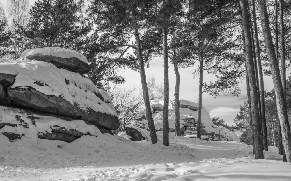 Photograph by Sergey Paramonov