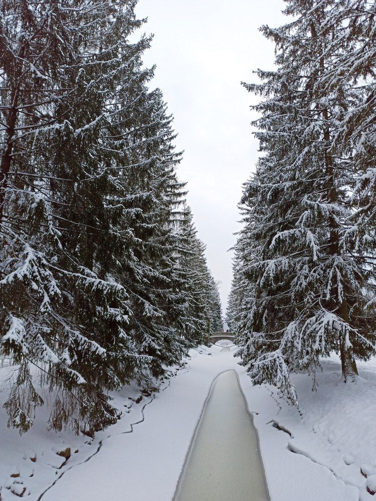 Photograph by Ксения Щеголева