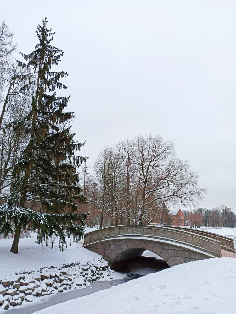 Photograph by Ксения Щеголева