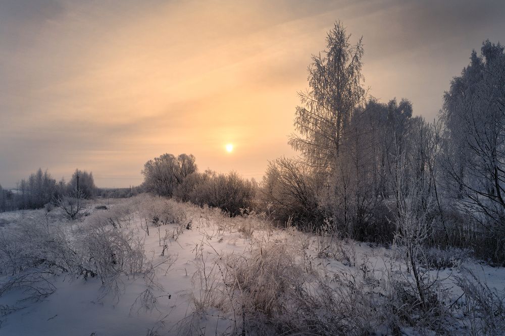 Photograph by Григорий Шалик