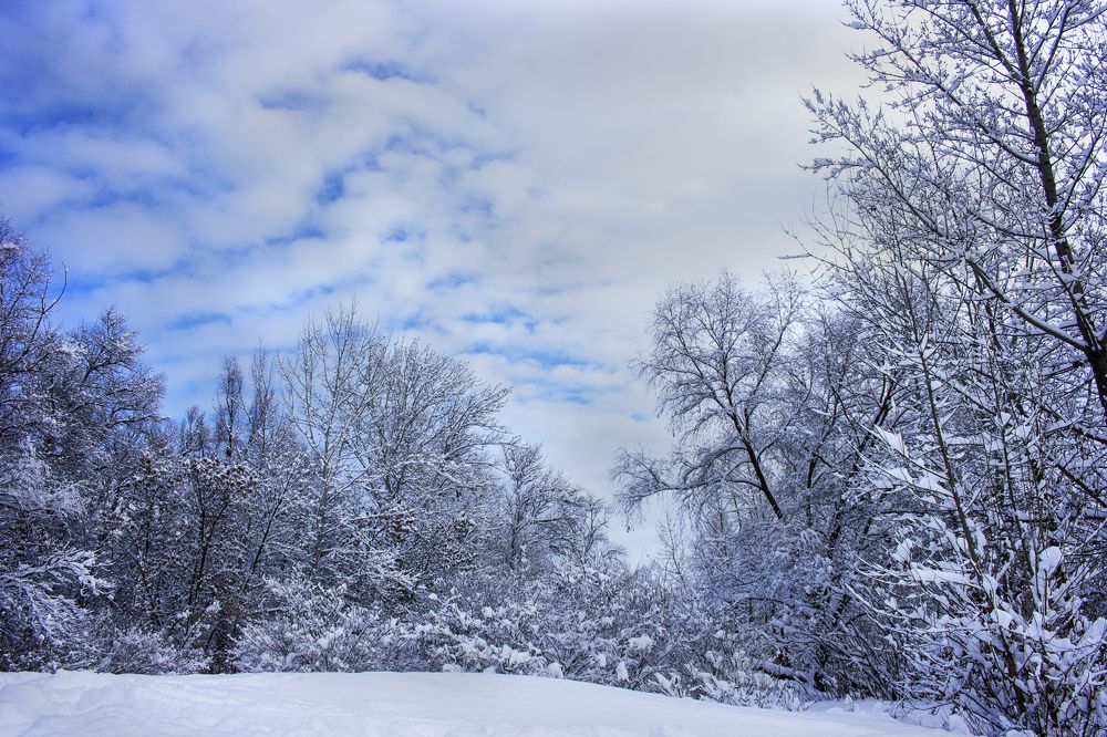 Photograph by Нелли