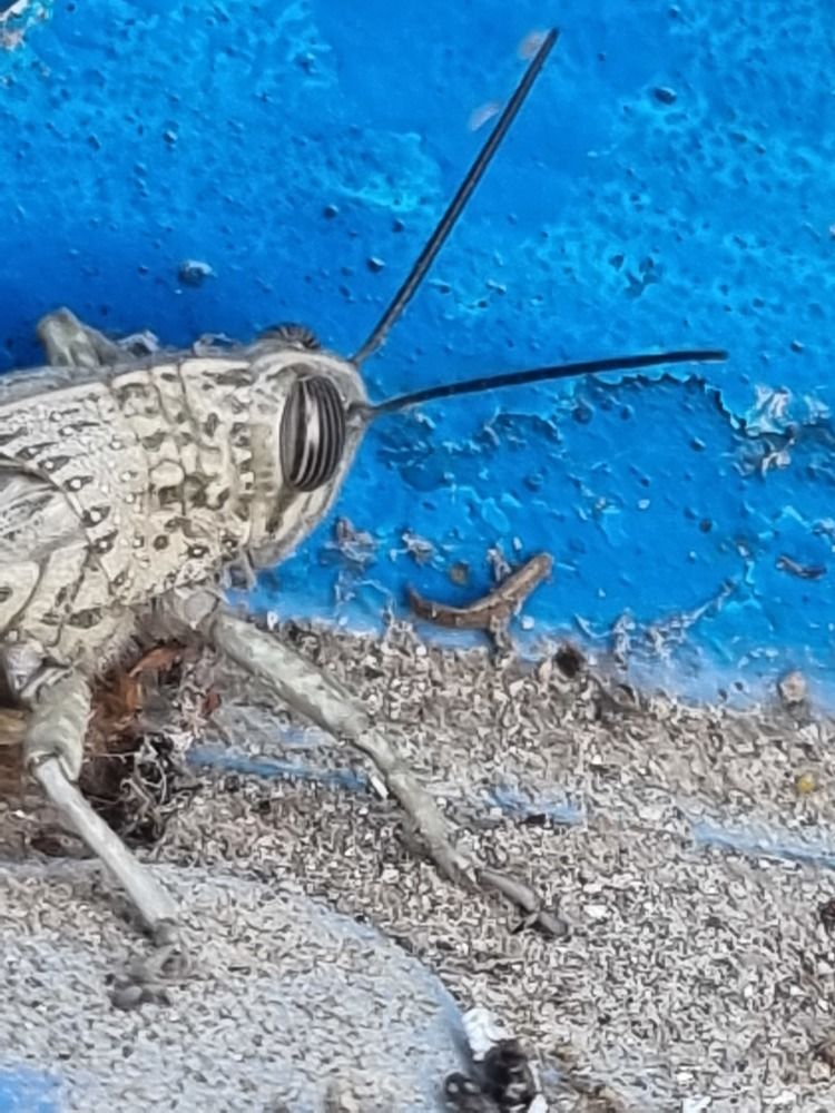 Photograph by Azar Jafarov