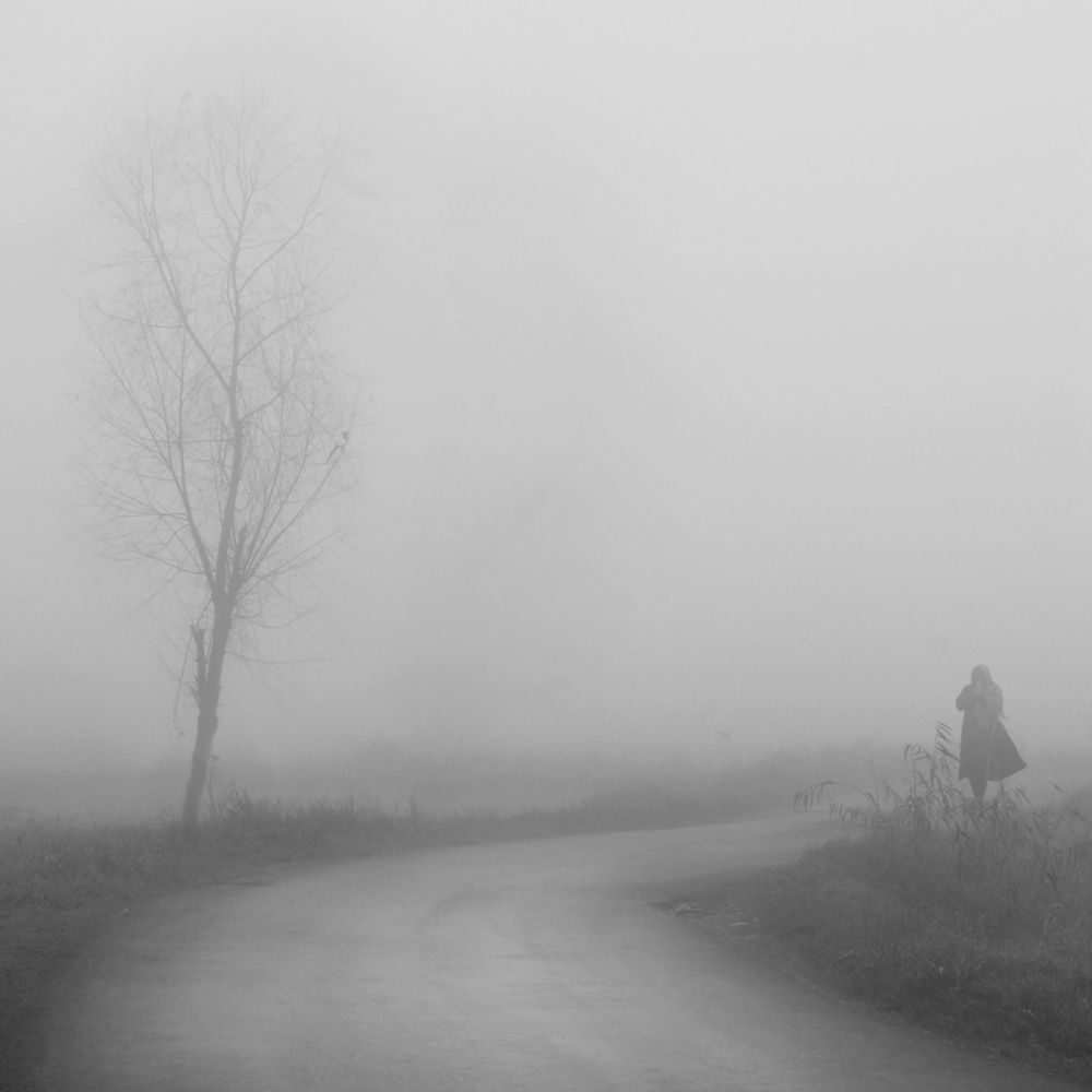 Alone in fog