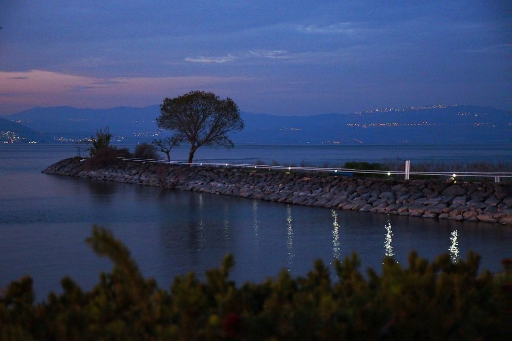 Photograph by Alla Shapochnik