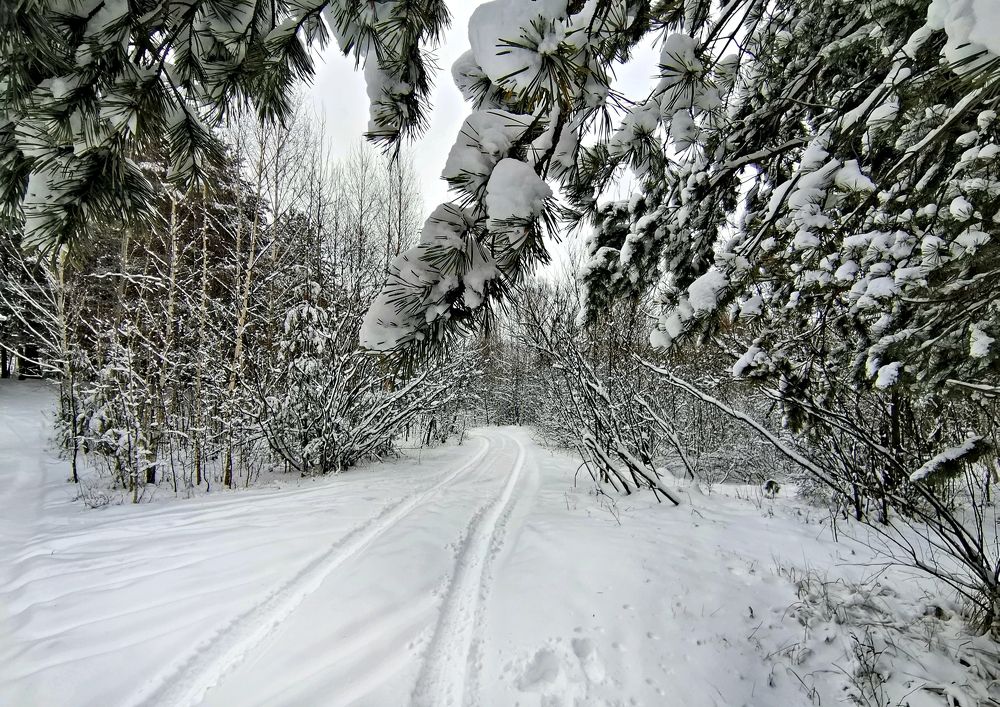 Photograph by Игорь Носков (Домненко)