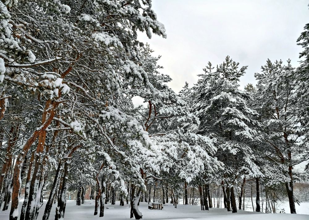 Photograph by Игорь Носков (Домненко)