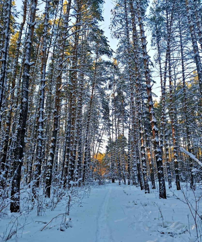 Photograph by Игорь Носков (Домненко)