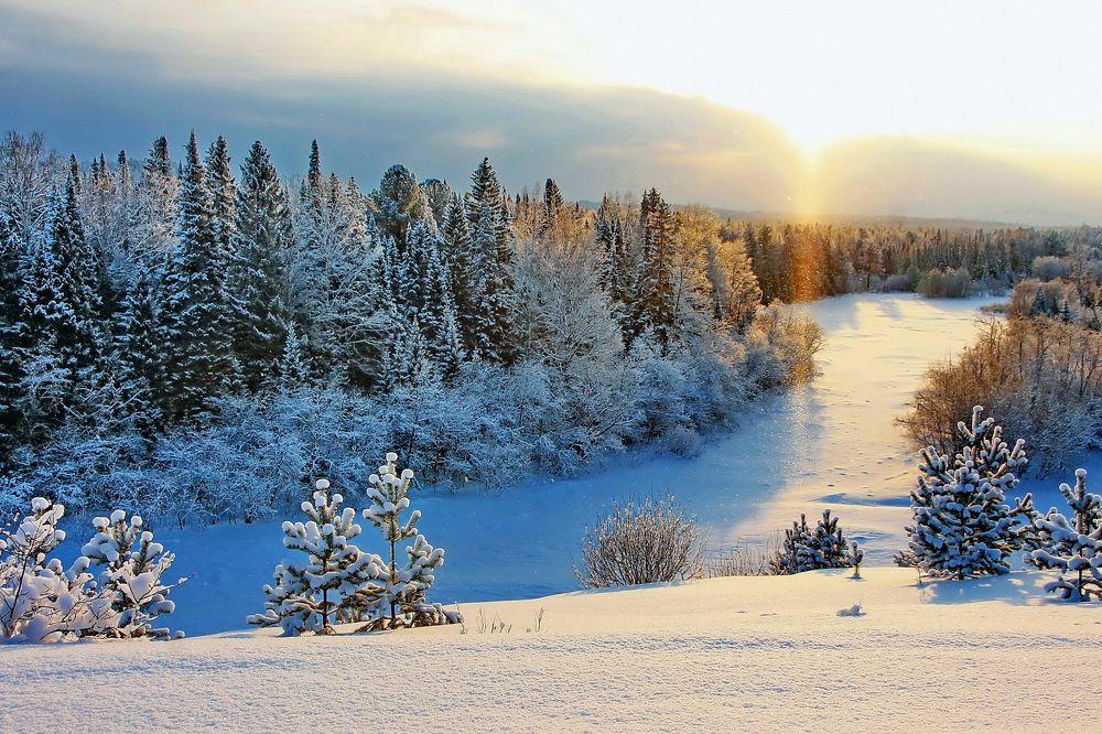 Photograph by Sergei Petrov