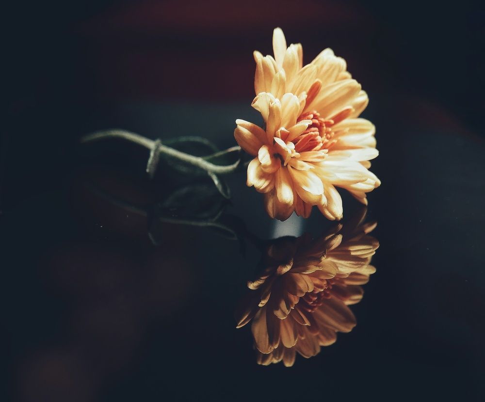 Photograph by Lien Nguyen