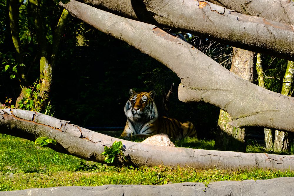 Photograph by Александр Казак