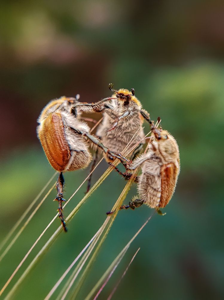Photograph by Сергей Колос