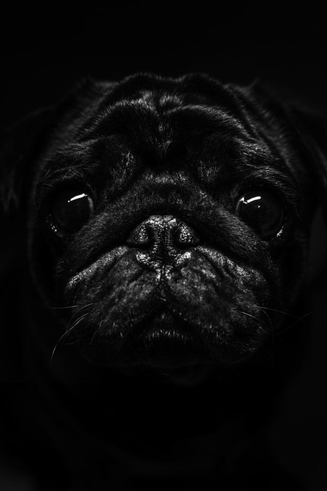 Photograph by Олег Кормашов