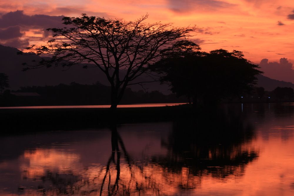 Photograph by Baraya Rocky