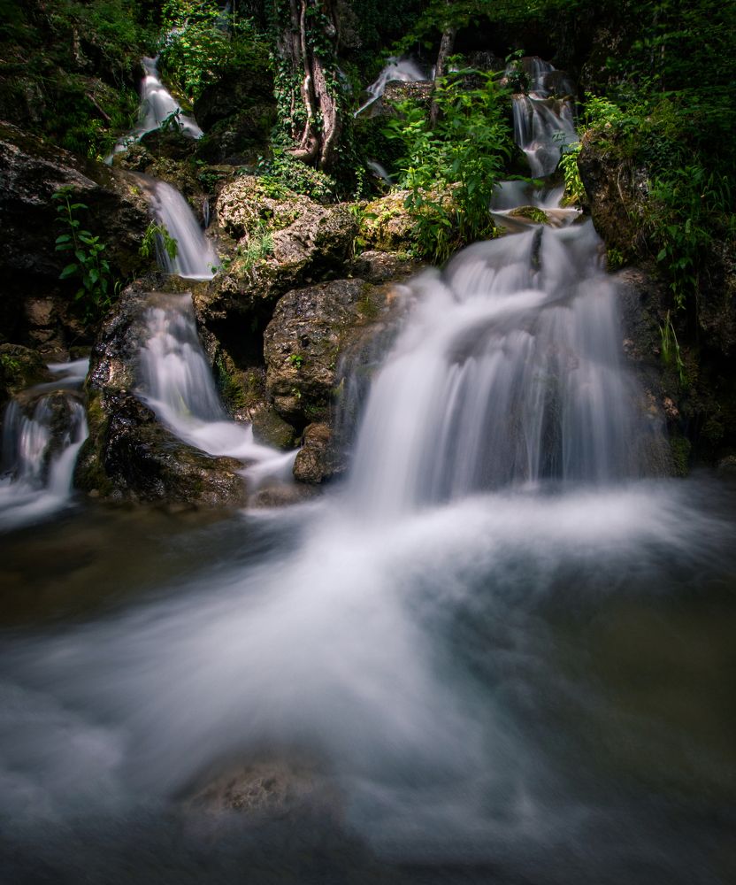 Фотография автора Филиппов Дмитрий