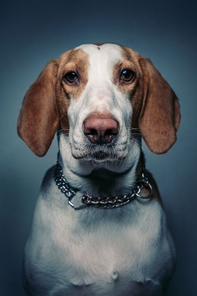 Photograph by Олег Кормашов