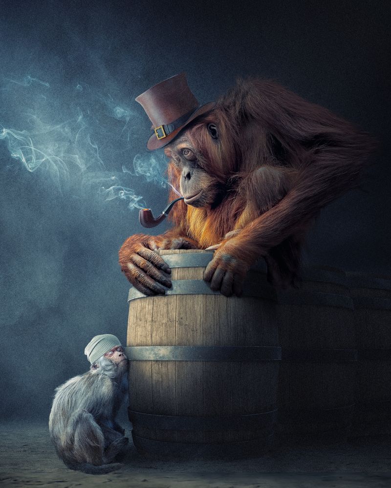 Photograph by Markus Bieck