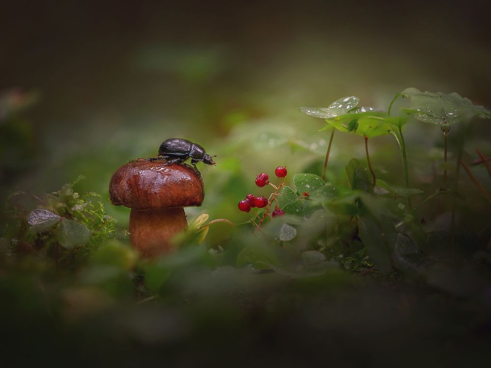 Photograph by Роман Балонкин