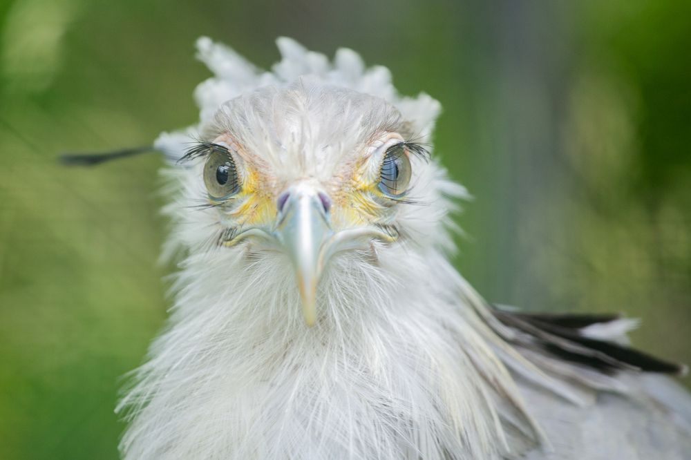 Photograph by Анна Орлова