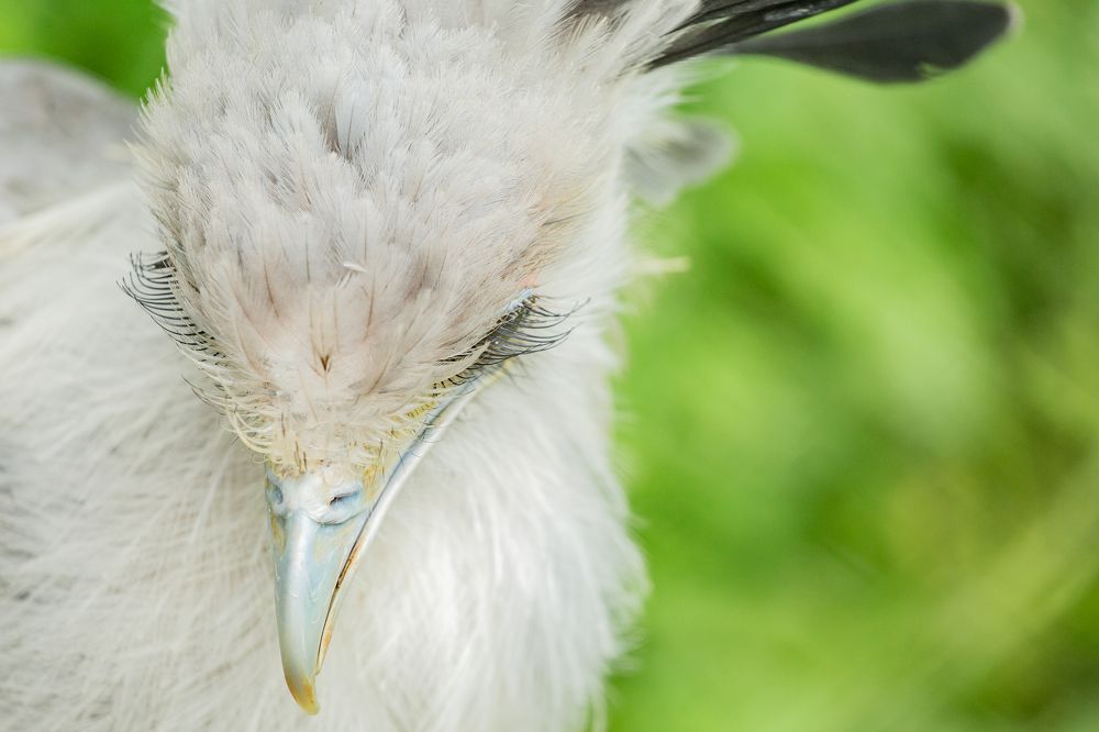 Photograph by Анна Орлова