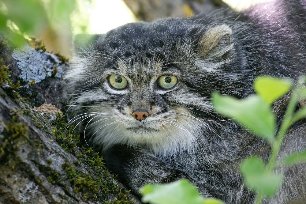 Photograph by Анна Орлова