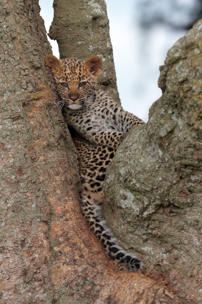 Photograph by Роман Мурушкин