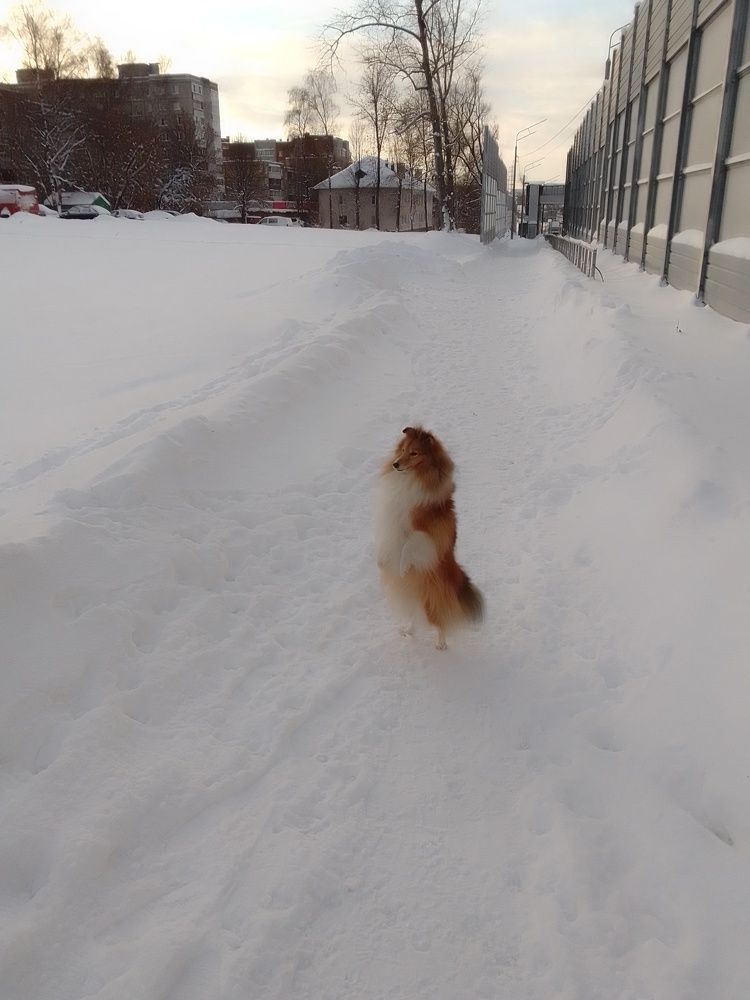 Photograph by Елена Любимцева