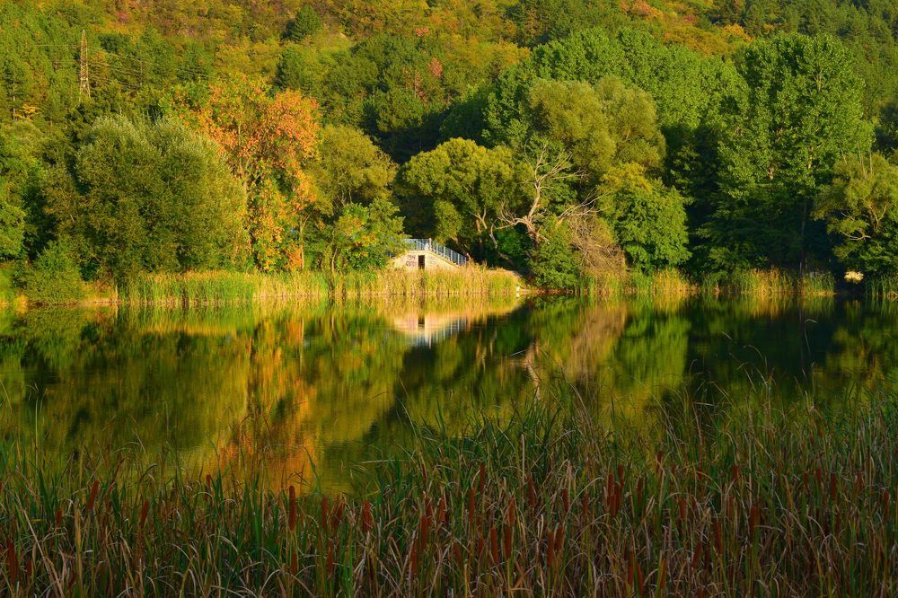Колоритът на есента