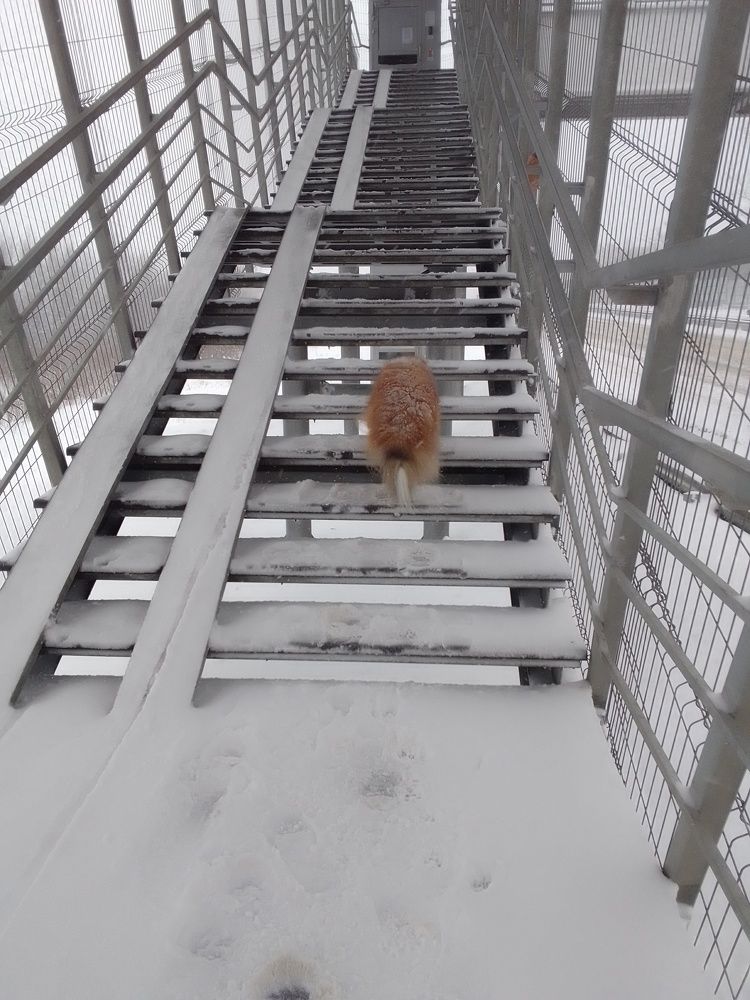 Photograph by Елена Любимцева