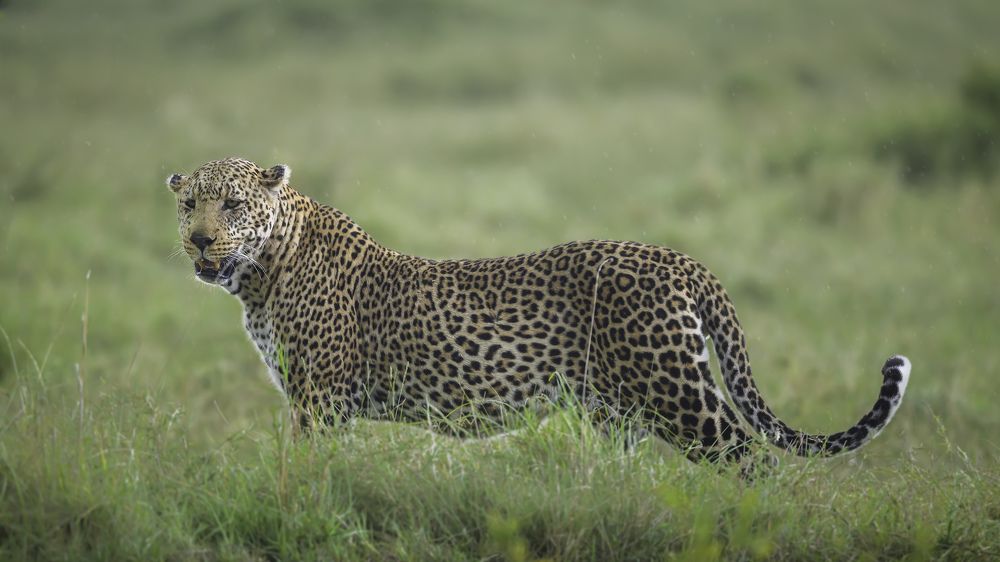 Photograph by Vignesh Ramachandran