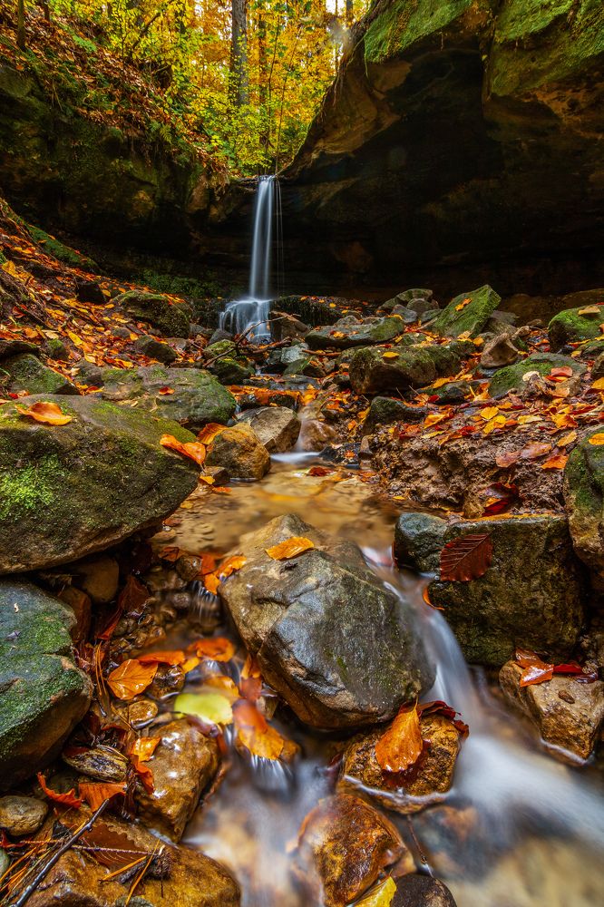 Photograph by Petr Musil